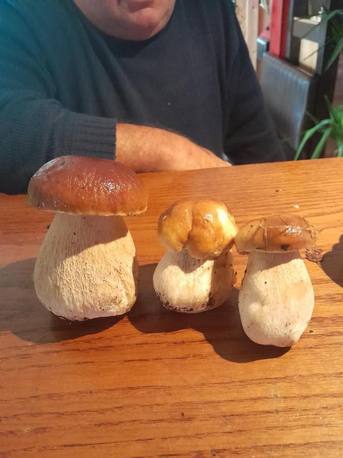 Montrollet Auberge La Marchadaine מראה חיצוני תמונה